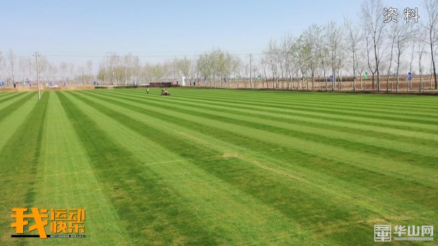 渭南市体育公园建设规划项目,渭南足球场建设