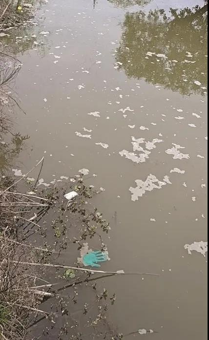 蛙价猛涨慢跌该怎么办,蛙价格上涨的原因