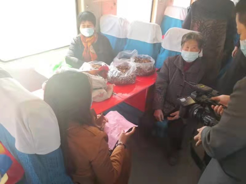 为群众办实事项目扎实有效,为群众办实事完整版