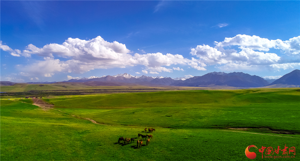 甘肃和政文旅融合共创5a级景区,甘肃文旅环西部游