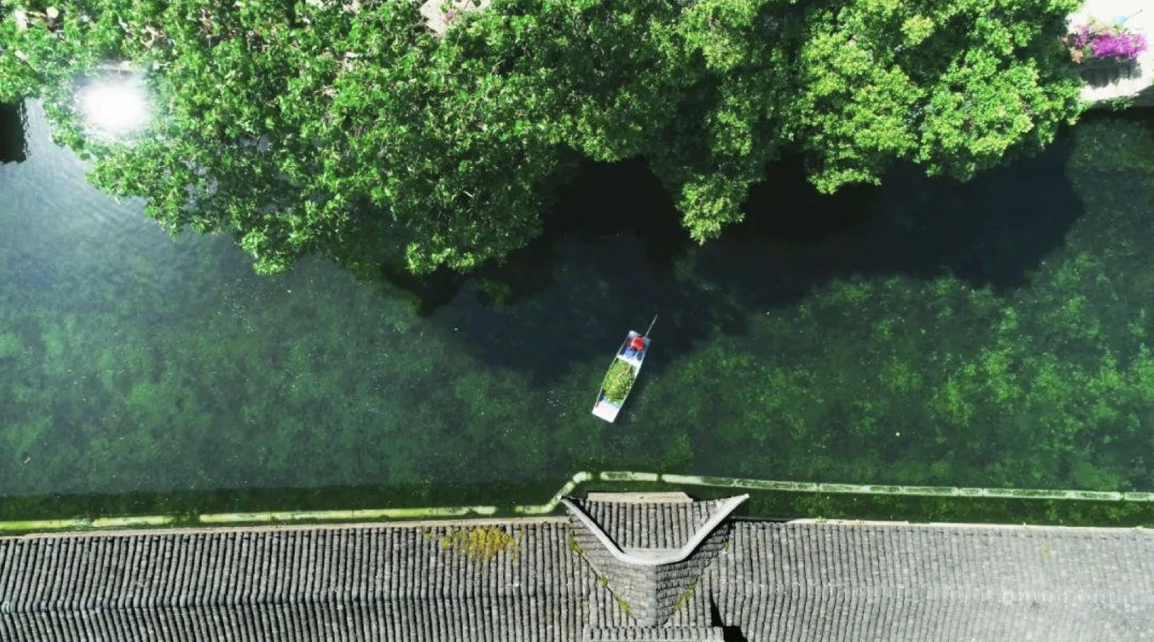 建设“碧水嘉兴”，打造“江南美窗口”，中国电科36所以数字化驱动生态治理