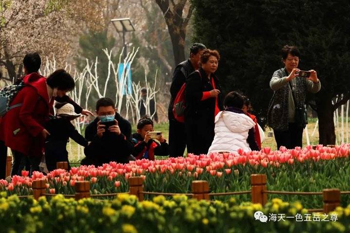 清明时节万物清新,清明万物新