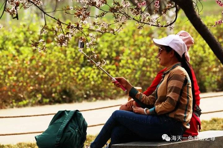 清明时节万物清新,清明万物新