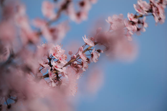 松下s5镜头70-300测评,松下lumixs70-300mm