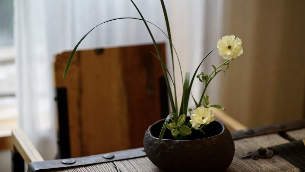 来沐川我“氧”你直播探秘“桃源山居”成焦点