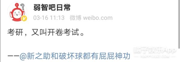 野生段子手,野生大头鱼剁椒鱼头