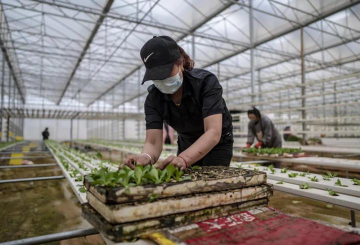 云南曲靖副中心,曲靖要建云南副中心城市