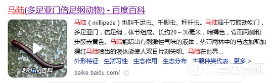 马陆虫又在商南过风楼境内出现,农综站干部盼专家给予防治建议