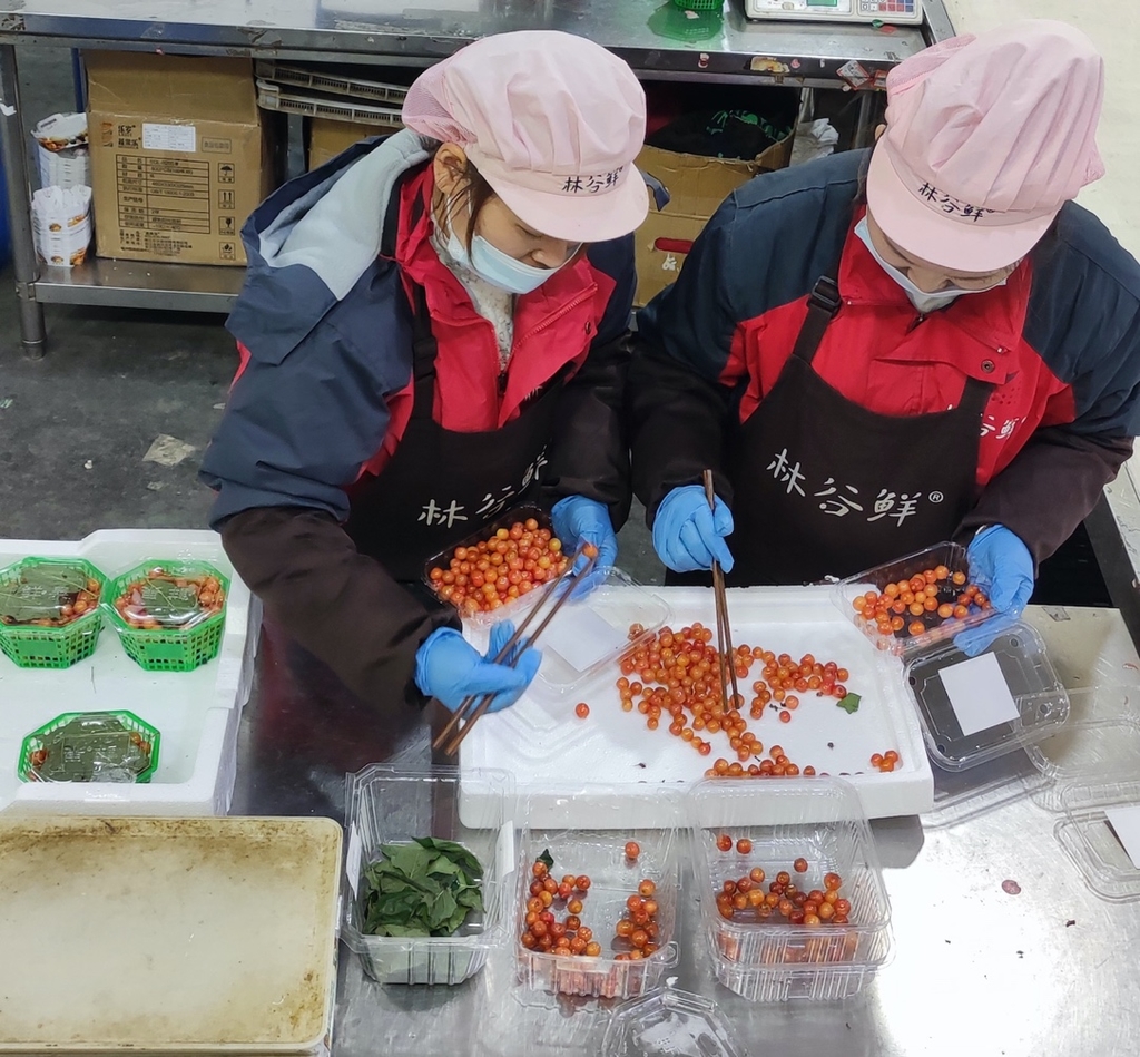 成都小樱桃多少钱一斤,攀枝花樱桃批发价钱