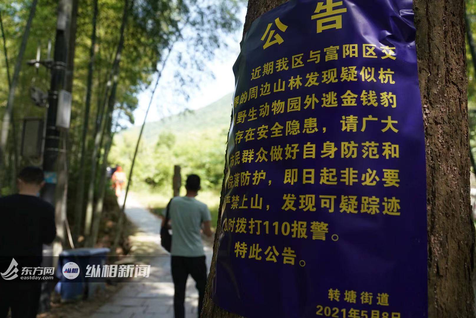 遇事否认三连？比起凶猛的豹，更容易引发民众恐慌的是“瞒豹”的人