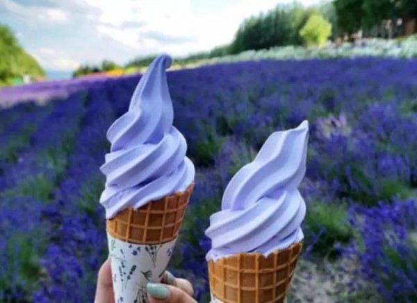 上海紫色花海熏衣草公园,上海最大的薰衣草