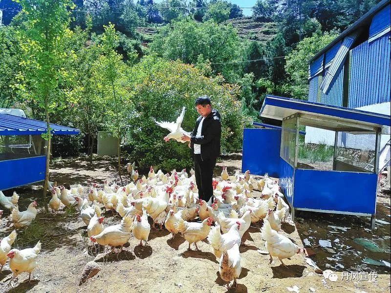 丹凤：村美民富*庄大**村