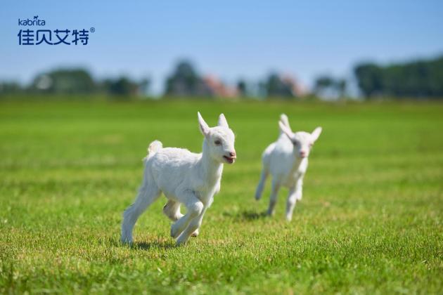 佳贝艾特羊奶粉适合什么样的宝宝,婴儿羊奶粉全配方奶粉推荐