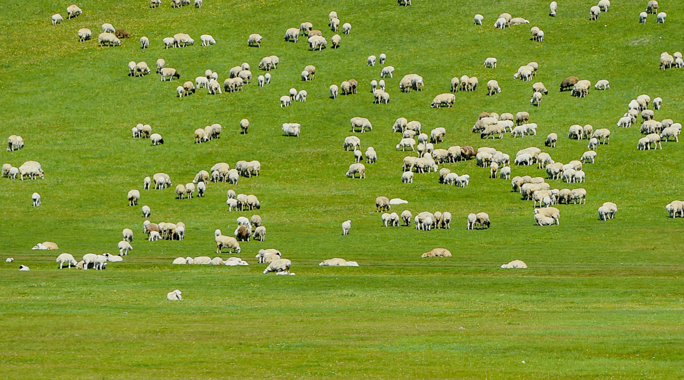 呼伦贝尔大草原服装视频,草原呼伦贝尔穿搭