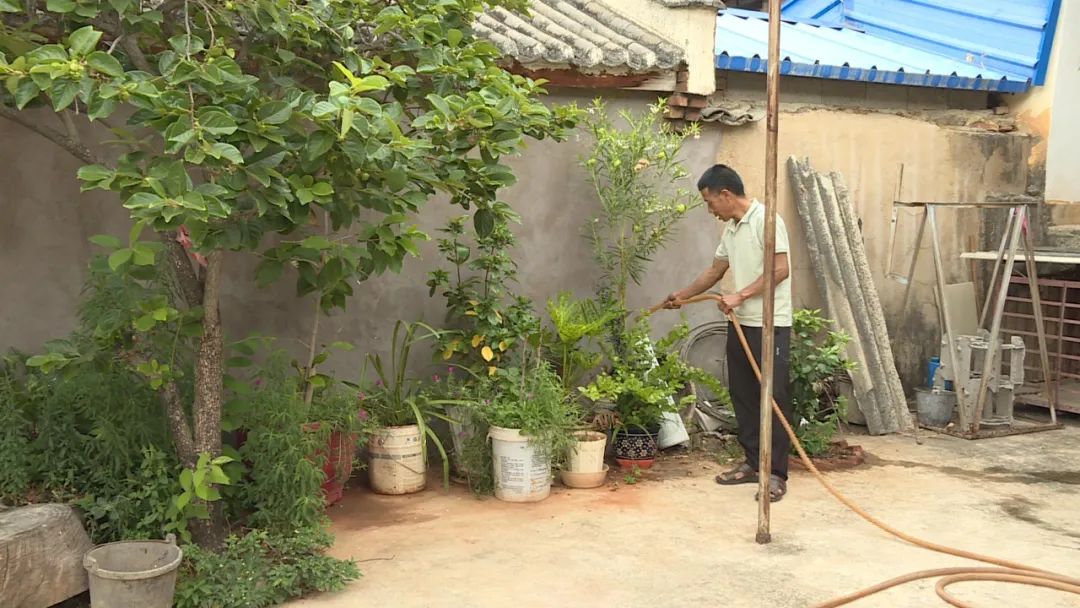 山乡巨变展新颜,山乡巨变