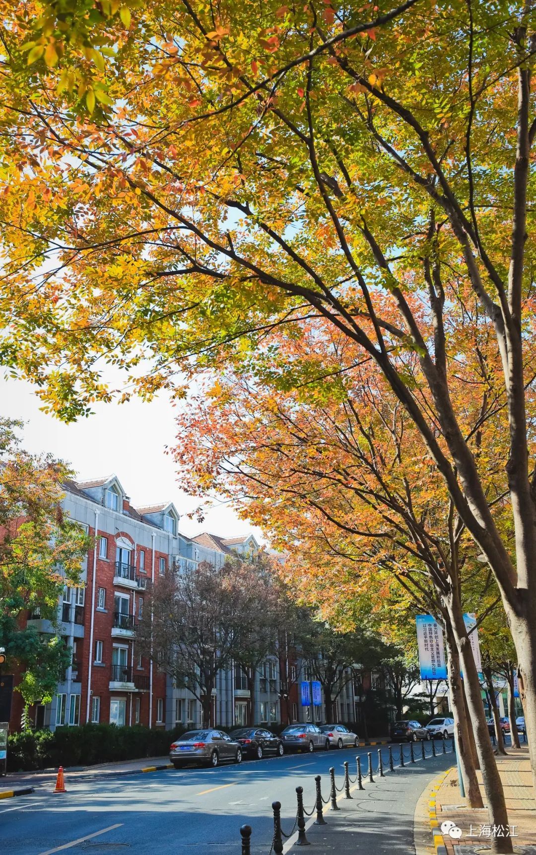 上海松江新城规划,松江新城在哪个区