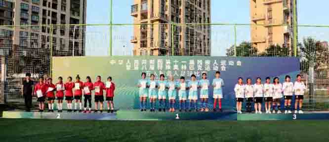 第十一届残疾人足球赛,2018年全国聋人足球锦标赛