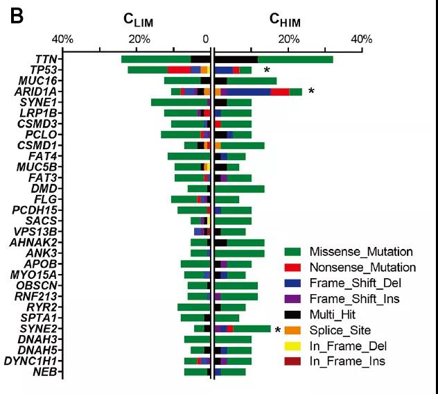 齐鲁医院刘联教授团队联合求臻医学提出晚期胃癌免疫治疗新精准分型指导预后