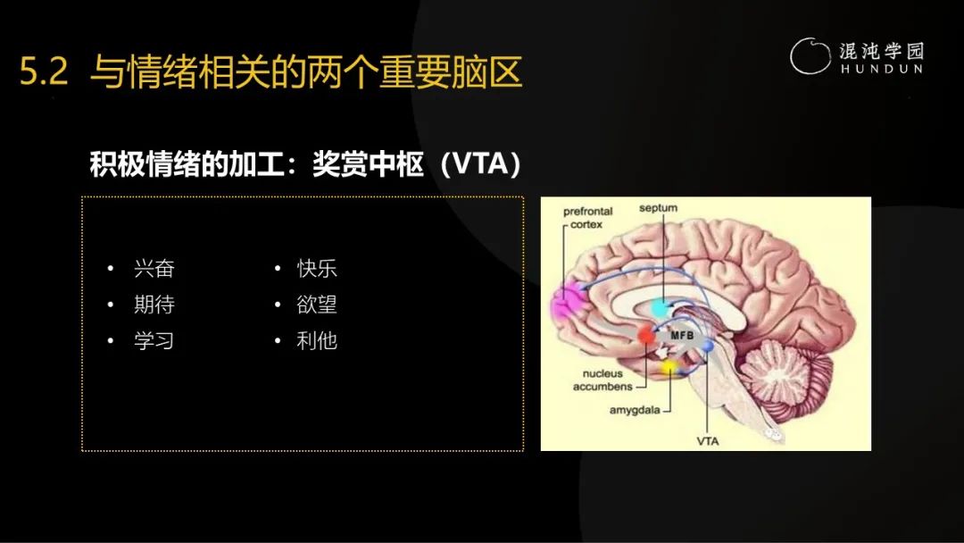 清华大学彭凯平教授：采访了30多位中国卓越企业家，发现成事的秘密难而简单