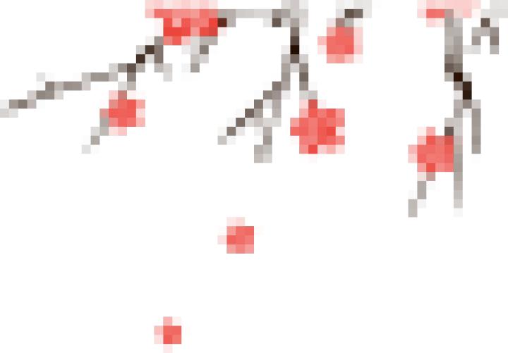 大爨碑和小爨碑,爨文化的两块碑