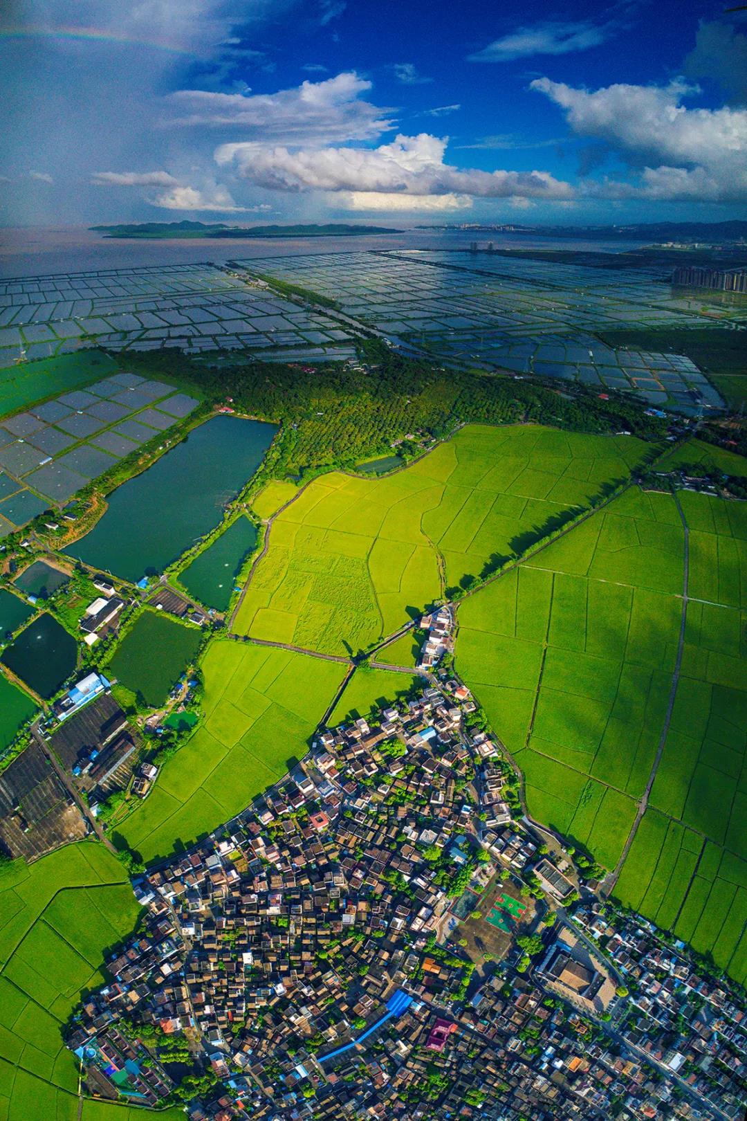 向坤山‖崖口村:城里人向往的地方