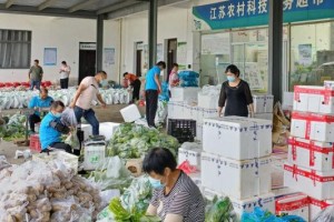 抗疫保供，江苏家庭农场在行动
