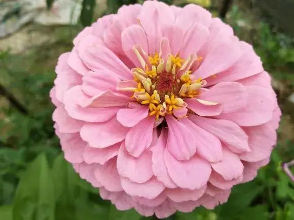 不出福州一日游去哪,不出福建省好玩的旅游景点