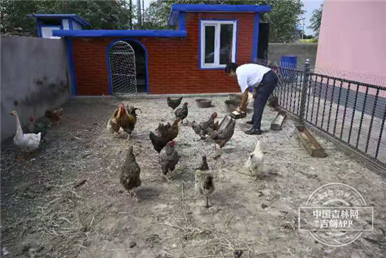 美丽乡村建设与民宿发展感悟,美丽乡村建设与民宿