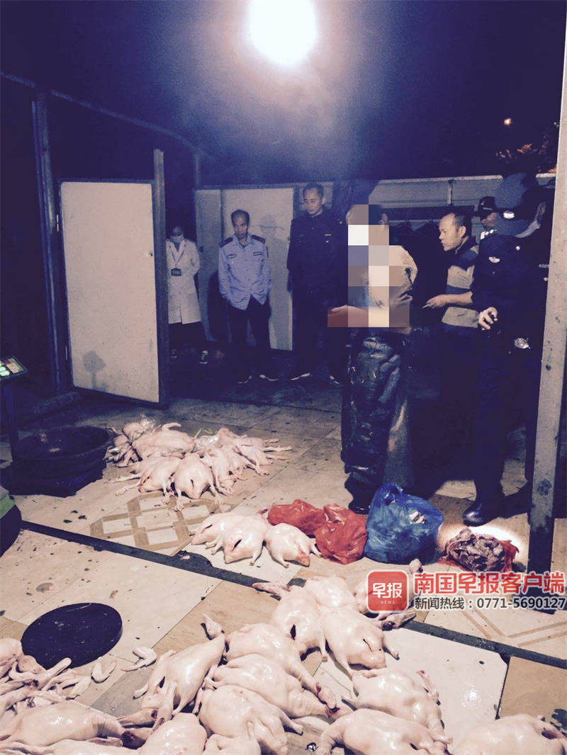 广西最新通报一批违纪典型案例,食药环公安打击环境领域案件