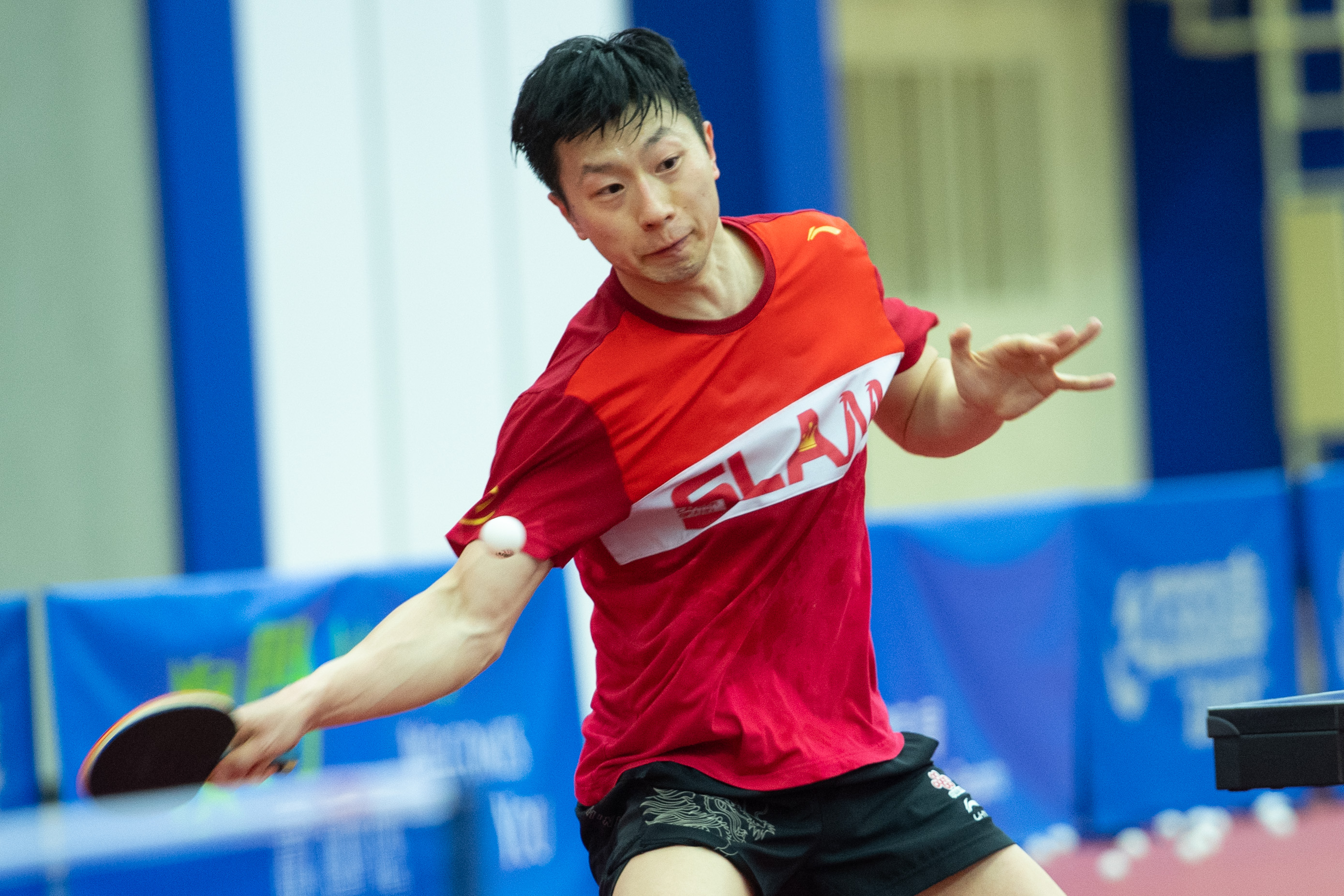 国乒为什么那么厉害,国乒为何那么强