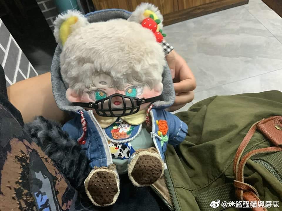 流水的追星女孩，铁打的扬州“娃厂”