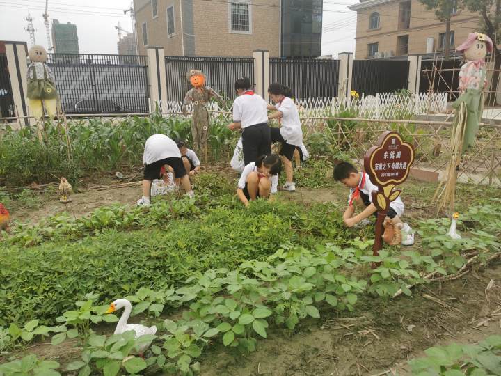 杭州钱塘区在建的九年一贯制学校,让孩子能进入心仪或合适的学校
