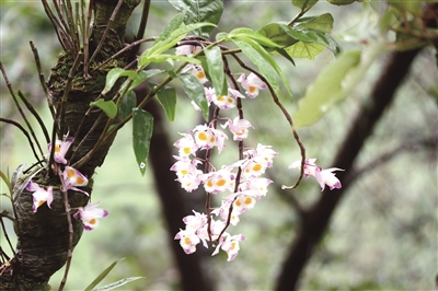 程建胜公示,南漳程建胜