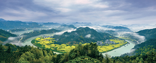 凌云访谈完整版,凌云专访