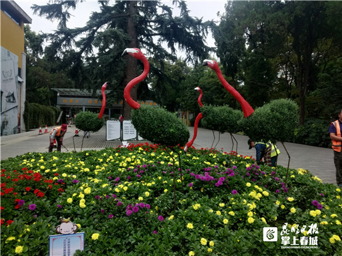 国庆亲子旅游景点推荐昆明,国庆旅游景点推荐昆明周边