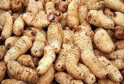 贵州丰收节有什么好吃的,贵州有哪些值得品尝的美食最新