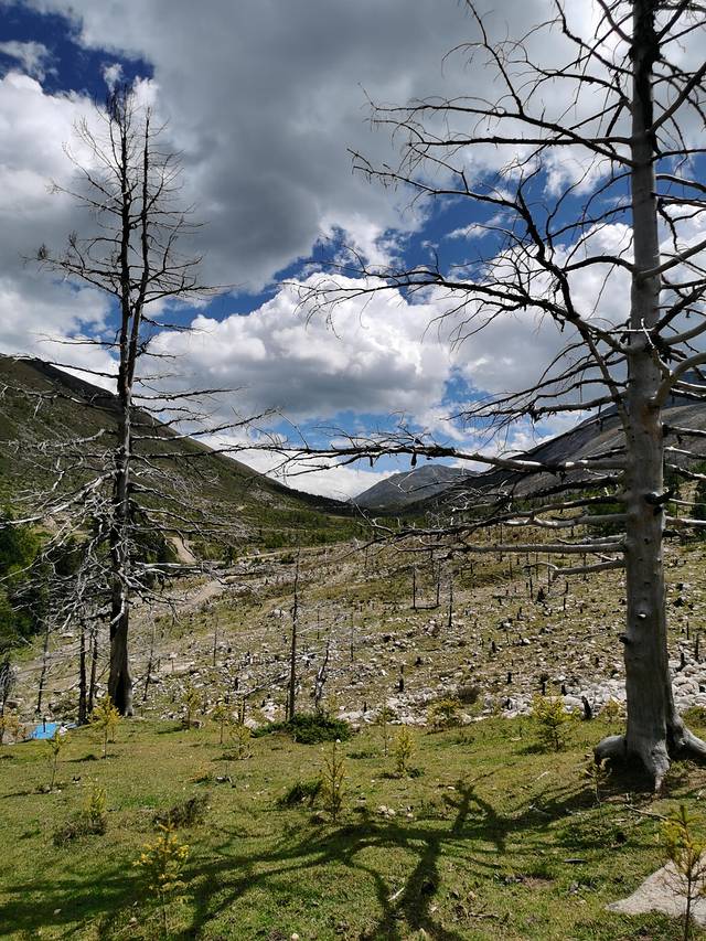 康定情歌木格措风景区自驾攻略,康定情歌木格措风景区舞蹈