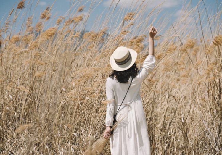 鄂尔多斯江南布衣,江南布衣最新消息