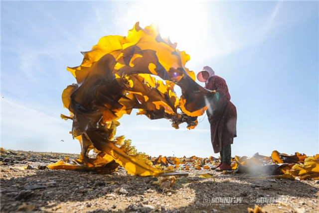 威海的海究竟有多美,威海的海到底有多美