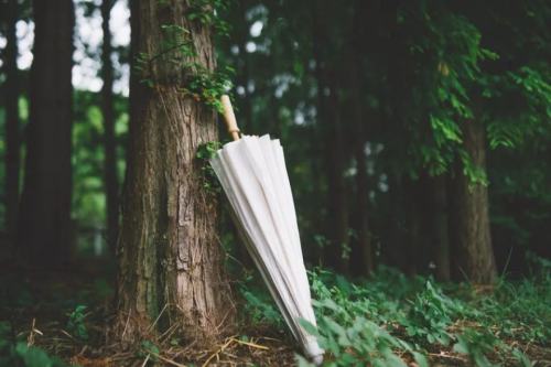 荐读鬼谷子10句话为人处世的法宝,为人处世之道鬼谷子全文及翻译