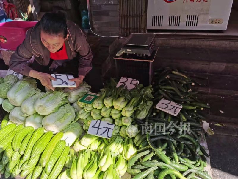 柳州现在什么青菜便宜,柳州青菜贵
