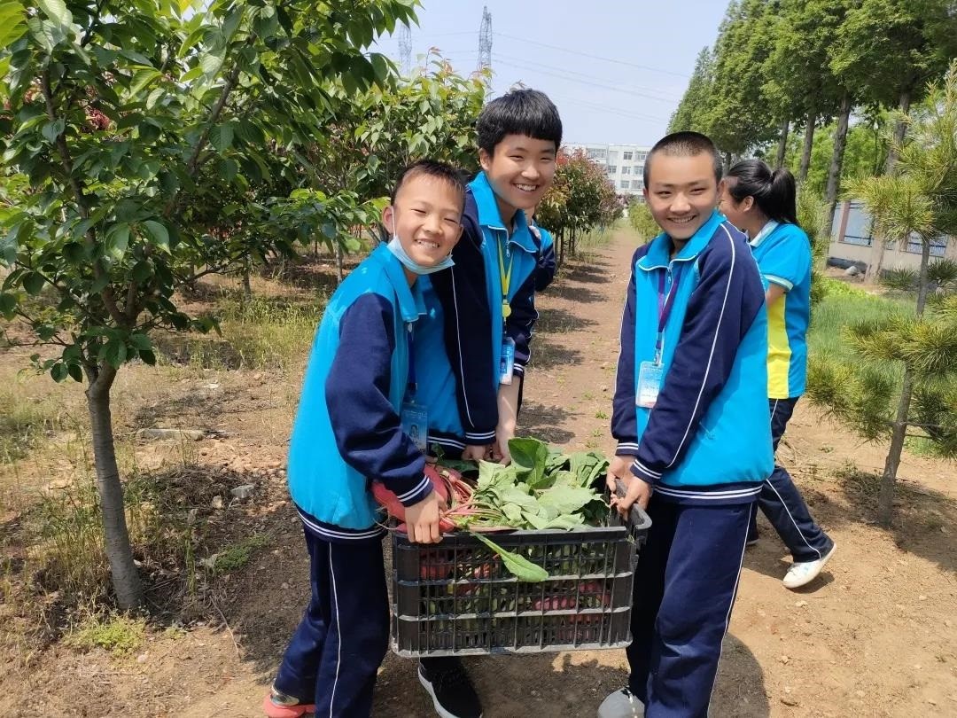 一亩方田点亮青春——荣成市第三十七中学体验式劳动教育小记