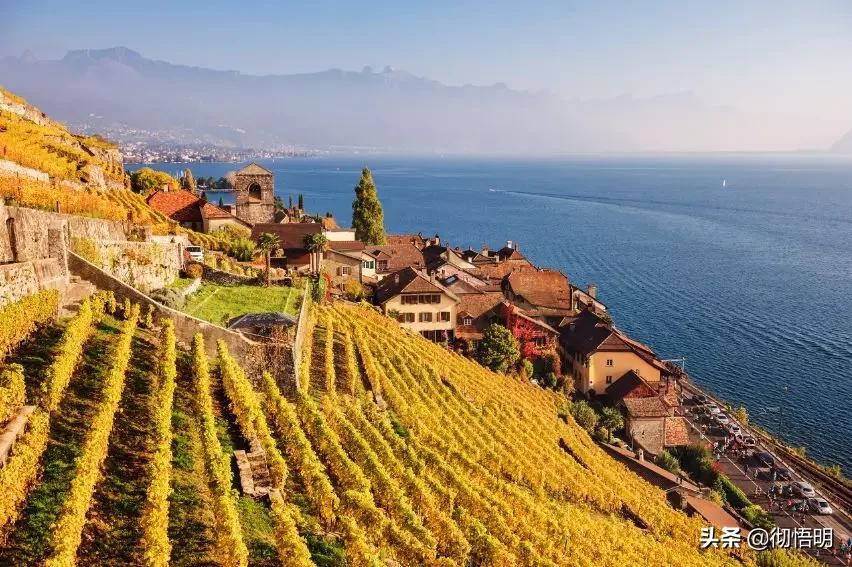 接近大自然气息感受美丽田园风光,瑞士风景花园