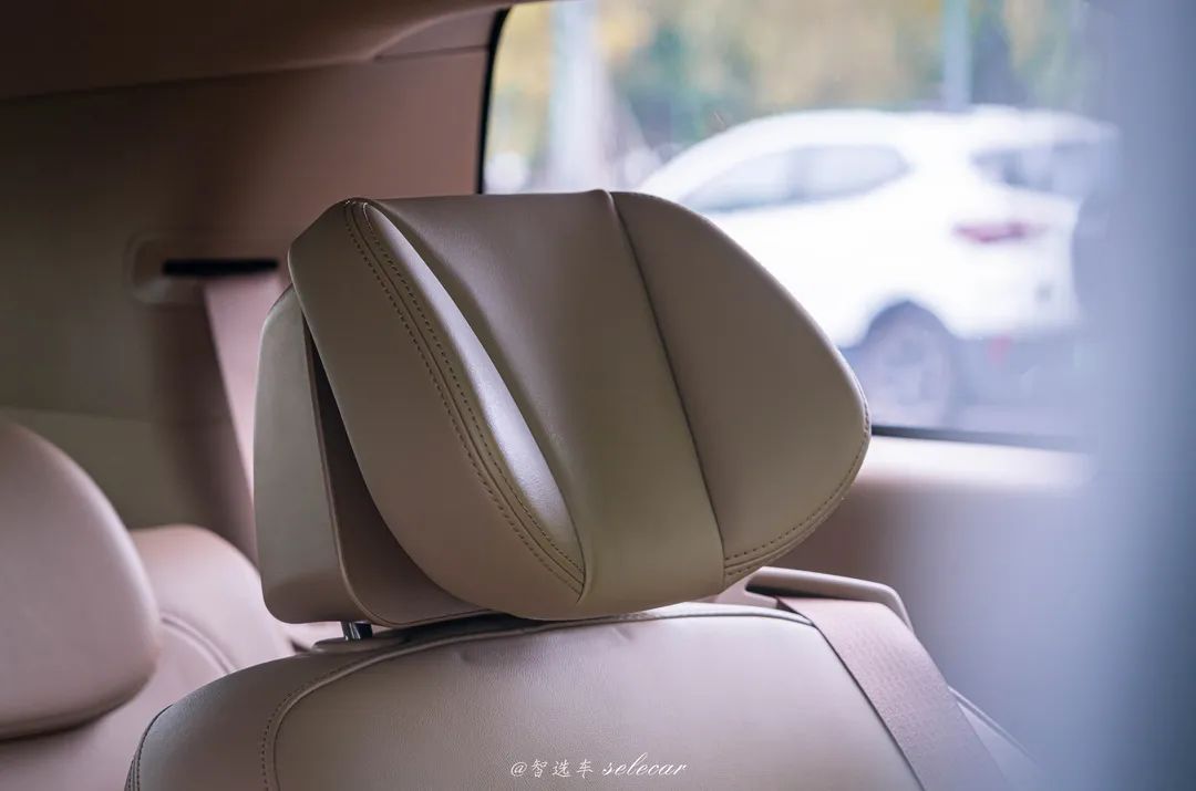 何为“陆尊”，带你一探究竟？