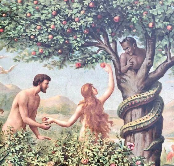 地球历史第一个人,地球第一个人类怎么来的