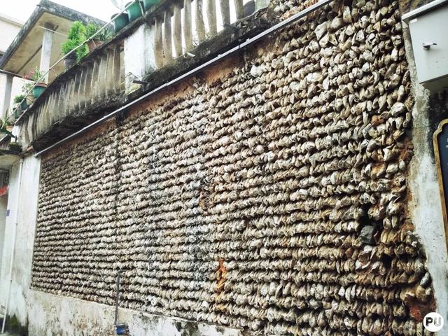 广州古村一日游最佳路线,广州好玩又省钱的6大绝美古村