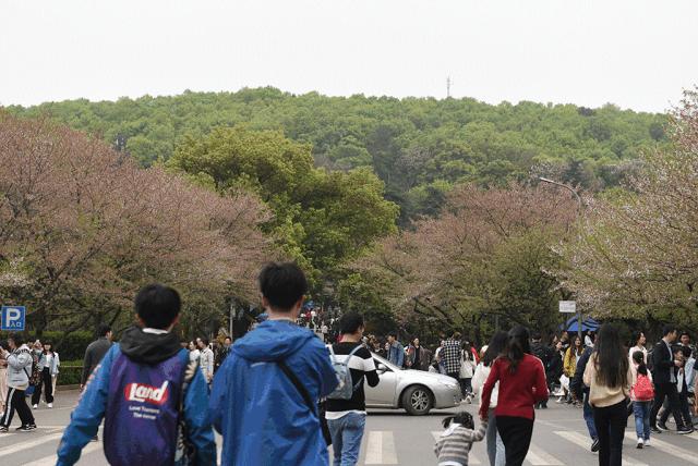 对于这辆车你有什么看法,对于这款车你有什么看法