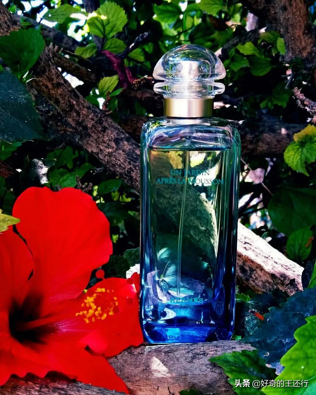 爱马仕雨后花园和印度花园,爱马仕印度雨季花园