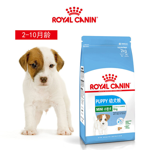 现在最好的猫狗粮,垃圾猫粮有什么特点