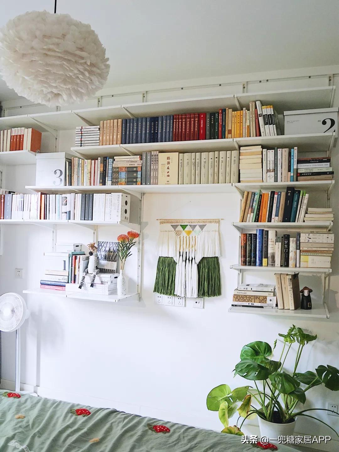 瀹跺眳鏀剁撼濂界墿鎺ㄨ崘鐪侀挶,瀹跺眳鏀剁撼濂界墿鎺ㄨ崘鍓嶅崄